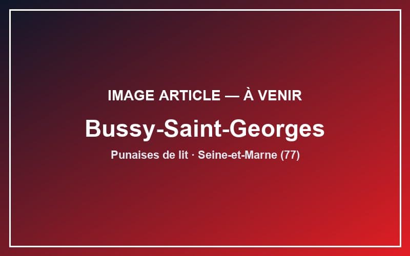 Punaises de lit Hôtel & Airbnb Bussy-Saint-Georges
