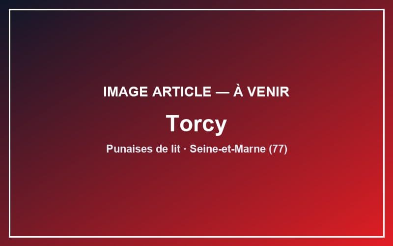 Traitement punaises de lit Torcy (77200) | Expert Punaise 77